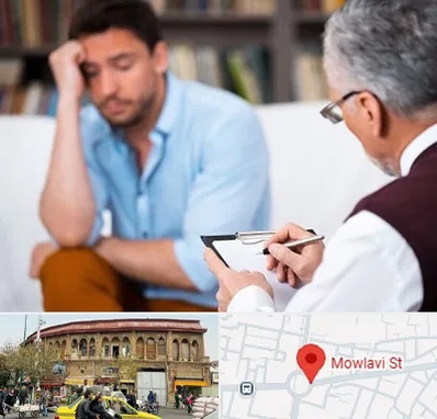 مشاور ازدواج در مولوی