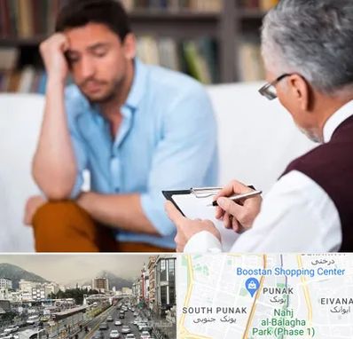 مشاور ازدواج در پونک