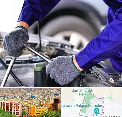 کارشناس سلامت خودرو در نیاوران 