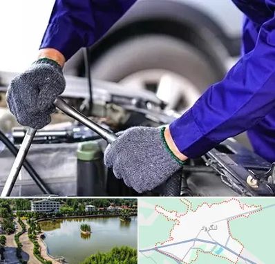 کارشناس سلامت خودرو در لنگرود