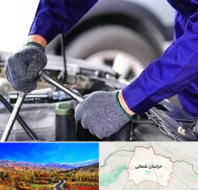 کارشناس سلامت خودرو در خراسان شمالی