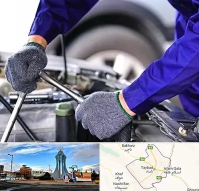 کارشناس سلامت خودرو در تایباد