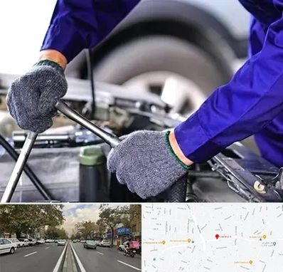 کارشناس سلامت خودرو در دولت