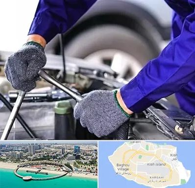 کارشناس سلامت خودرو در کیش