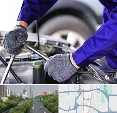 کارشناس سلامت خودرو در توانیر