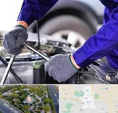 کارشناس سلامت خودرو در کاشمر