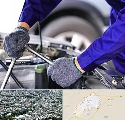 کارشناس سلامت خودرو در شاهرود