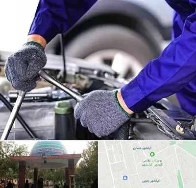 کارشناس سلامت خودرو در کیانشهر