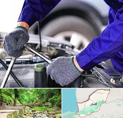 کارشناس سلامت خودرو در گلستان