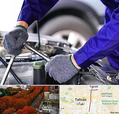 کارشناس سلامت خودرو در ولیعصر