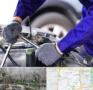 کارشناس سلامت خودرو در باغ فیض