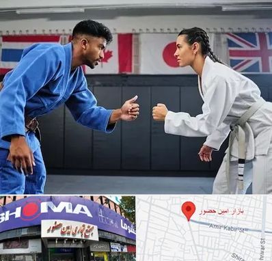 باشگاه دفاع شخصی در امین حضور