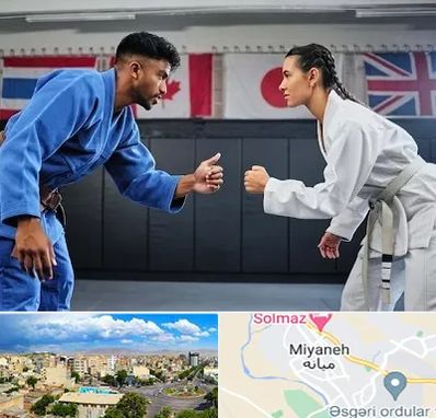 باشگاه دفاع شخصی در میانه