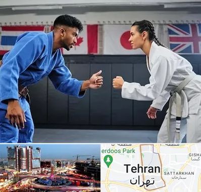 باشگاه دفاع شخصی در صادقیه 