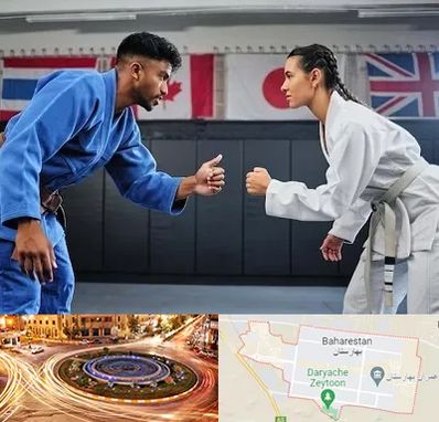 باشگاه دفاع شخصی در بهارستان