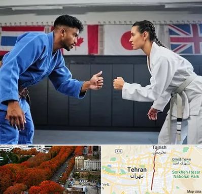 باشگاه دفاع شخصی در ولیعصر