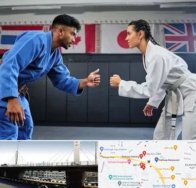 باشگاه دفاع شخصی در پارک وی