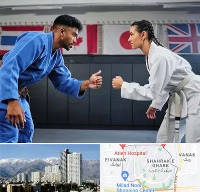 باشگاه دفاع شخصی در شهرک غرب 