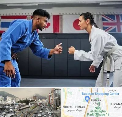 باشگاه دفاع شخصی در پونک 