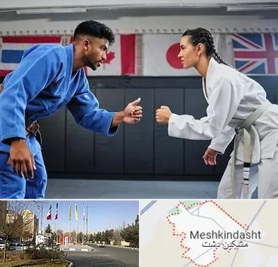 باشگاه دفاع شخصی در مشکین دشت