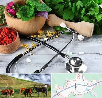 کلینیک طب سنتی در تالش