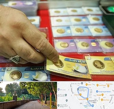 سکه فروشی در فلکه گاز رشت