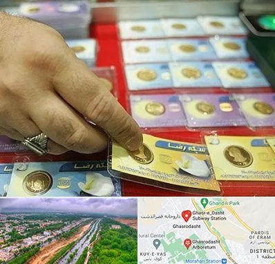 سکه فروشی در قصرالدشت شیراز