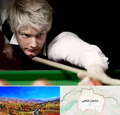 کلاس بیلیارد در خراسان شمالی