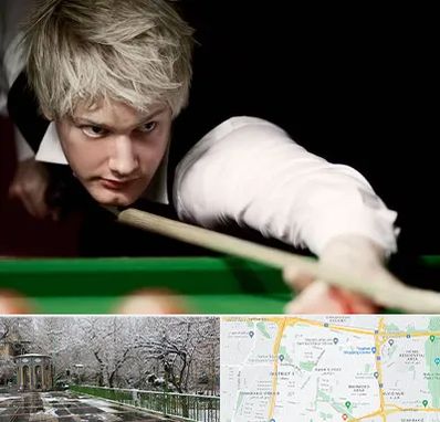 کلاس بیلیارد در باغ فیض