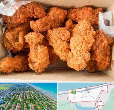 مرغ سوخاری در نور