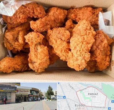 مرغ سوخاری در پرواز تبریز