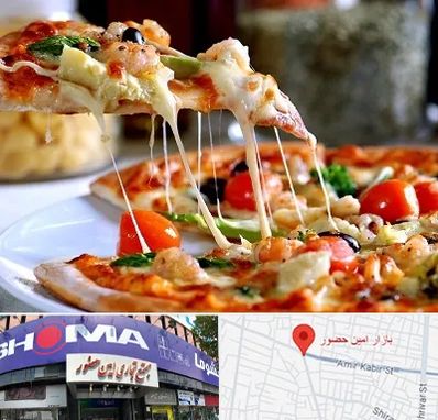 پیتزا در امین حضور