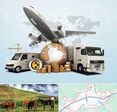 شرکت واردات و صادرات در تالش