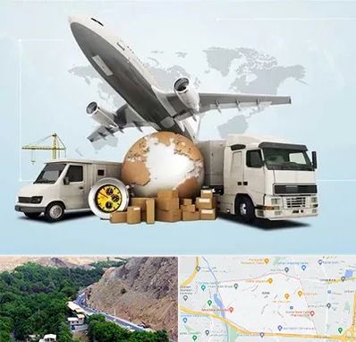 شرکت واردات و صادرات در کن