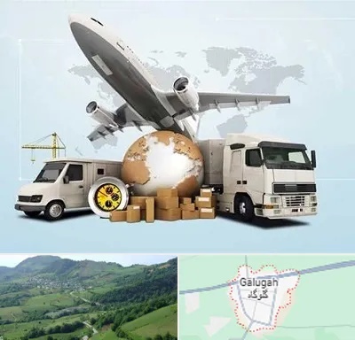 شرکت واردات و صادرات در گلوگاه