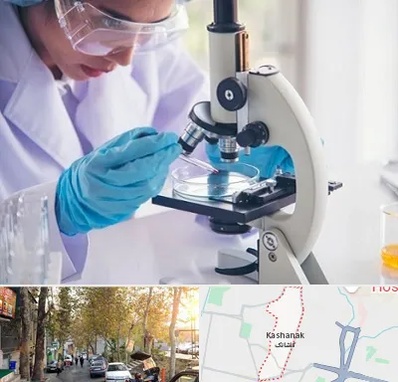 آزمایشگاه در کاشانک