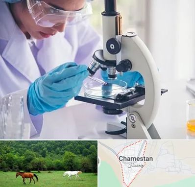 آزمایشگاه در چمستان