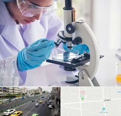 آزمایشگاه در خیابان دامپزشکی