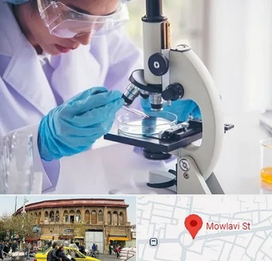 آزمایشگاه در مولوی