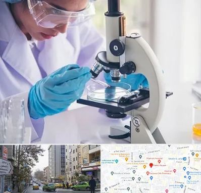 آزمایشگاه در فاطمی