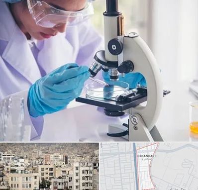 آزمایشگاه در اسکندری