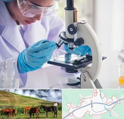 آزمایشگاه در تالش