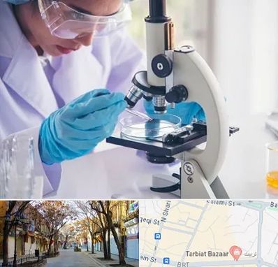 آزمایشگاه در تربیت تبریز