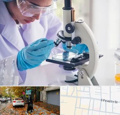 آزمایشگاه در خیابان فلسطین