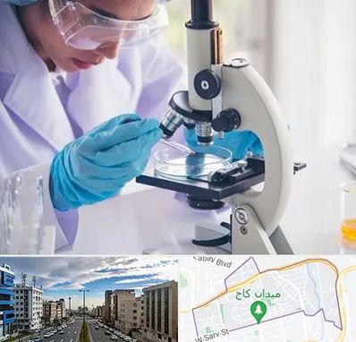 آزمایشگاه در سعادت آباد