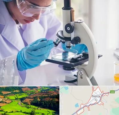 آزمایشگاه در نکا