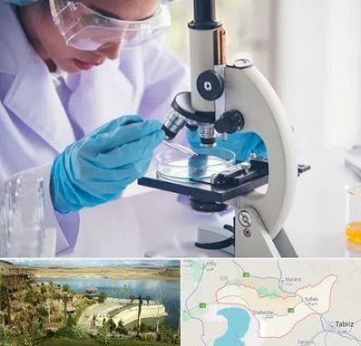 آزمایشگاه در شبستر