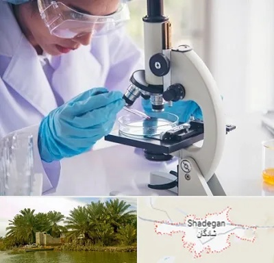 آزمایشگاه در شادگان