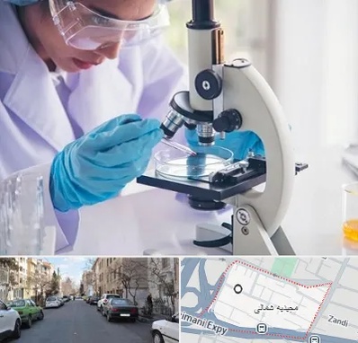 آزمایشگاه در مجیدیه شمالی