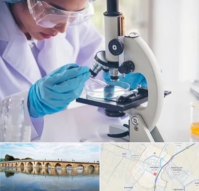 آزمایشگاه در فلاورجان